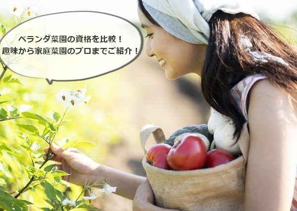 ベランダ菜園の資格を比較！趣味から家庭菜園のプロまでご紹介！