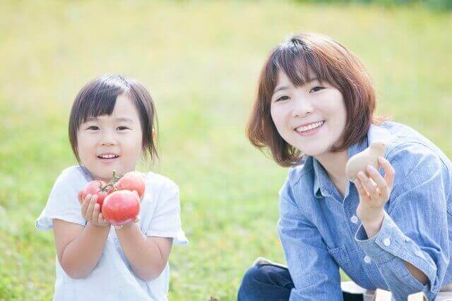 レモンの育て方 収穫方法と病気 害虫対策 ベランダ菜園 Com