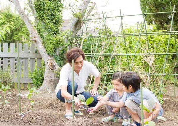 枝豆の育て方と家庭菜園に向いている野菜3選 プランターで水やり 間引き 肥料 ベランダ菜園 Com 枝豆の育て方と家庭菜園に向いている野菜3選 プランターで水やり 間引き 肥料 ベランダ菜園 Com