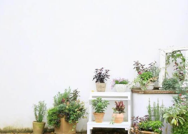 ベランダ菜園でもあると便利 ネットの種類 ベランダ菜園 Com