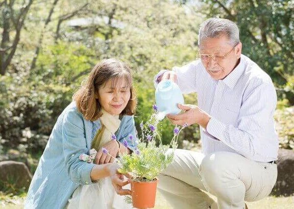 かぶやかぼちゃの育て方【室内やベランダで簡単栽培】