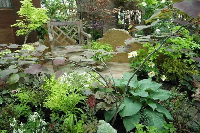 プランターでレタスの育て方とプランターで栽培できるカラフルな野菜3選 ベランダ菜園 Com