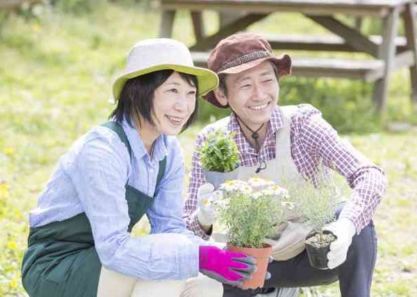 ベランダ菜園でプランター栽培!タラゴンと春菊の育て方